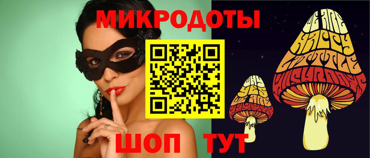 Псилоцибиновые грибы мицелий Старая Купавна